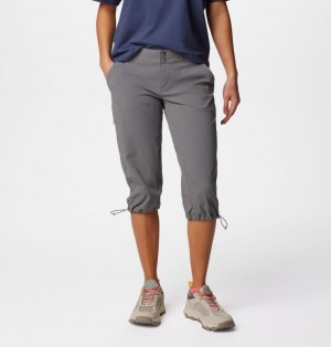 Columbia Saturday Trail™ II Knee Women Hiking Pants Grey | 95585663