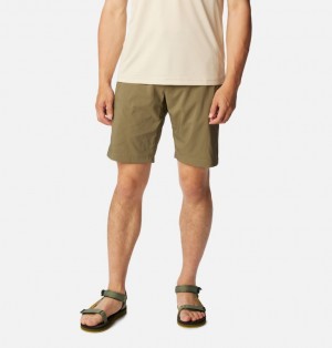 Columbia Silver Ridge™ Utility Walking Men Shorts Green | 6425088