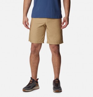 Columbia Washed Out™ Men Shorts Brown | 96045326